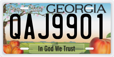 GA license plate QAJ9901