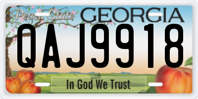 GA license plate QAJ9918