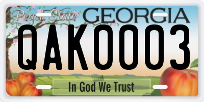 GA license plate QAK0003