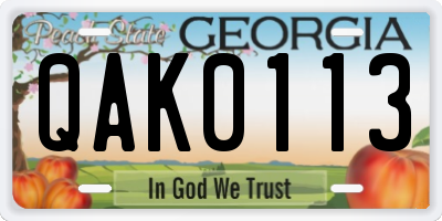 GA license plate QAK0113