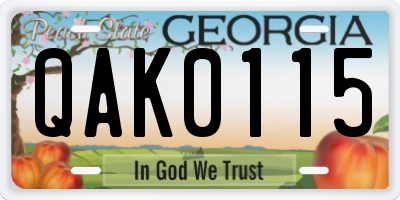 GA license plate QAK0115