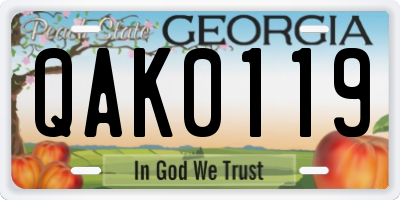 GA license plate QAK0119