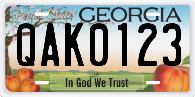 GA license plate QAK0123