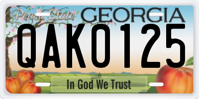 GA license plate QAK0125