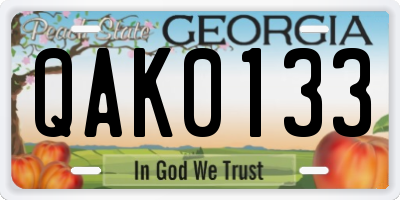 GA license plate QAK0133