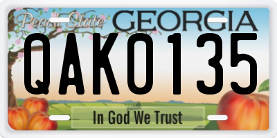 GA license plate QAK0135