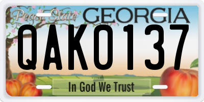 GA license plate QAK0137