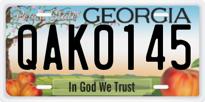 GA license plate QAK0145