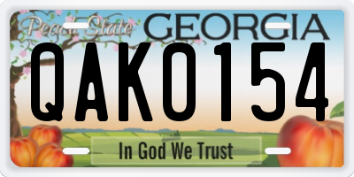 GA license plate QAK0154