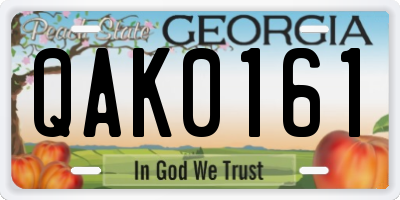 GA license plate QAK0161