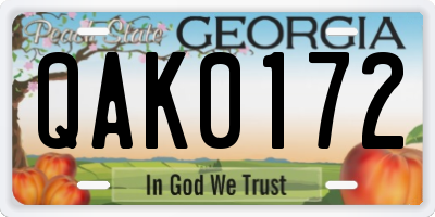 GA license plate QAK0172