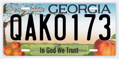 GA license plate QAK0173