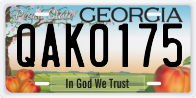 GA license plate QAK0175