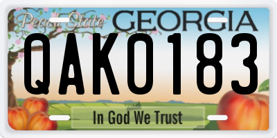 GA license plate QAK0183