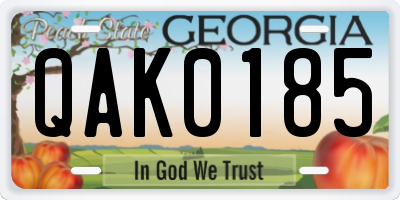 GA license plate QAK0185