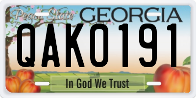 GA license plate QAK0191