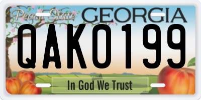 GA license plate QAK0199