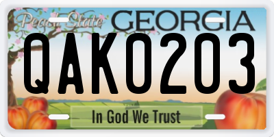 GA license plate QAK0203