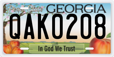 GA license plate QAK0208