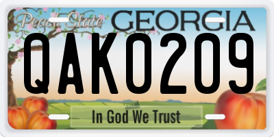 GA license plate QAK0209
