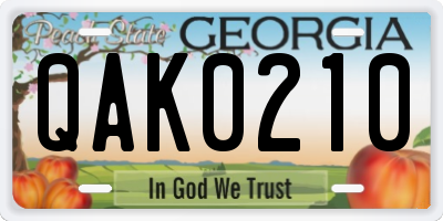 GA license plate QAK0210