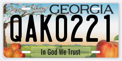 GA license plate QAK0221