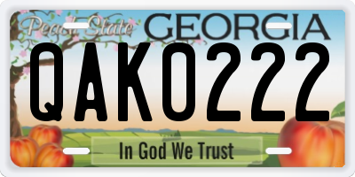 GA license plate QAK0222