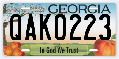 GA license plate QAK0223