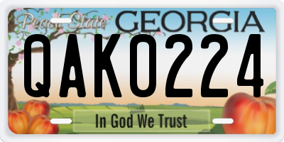 GA license plate QAK0224