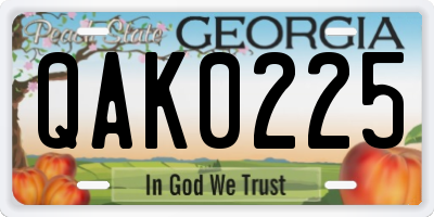 GA license plate QAK0225