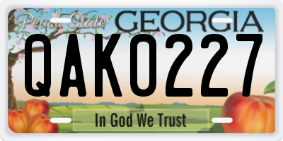 GA license plate QAK0227