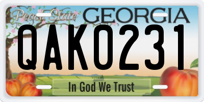 GA license plate QAK0231