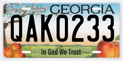 GA license plate QAK0233