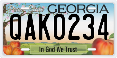 GA license plate QAK0234