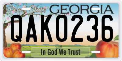 GA license plate QAK0236