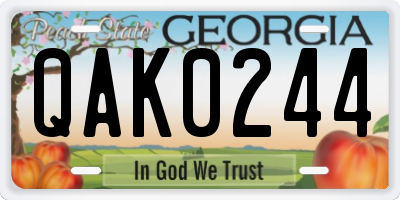 GA license plate QAK0244