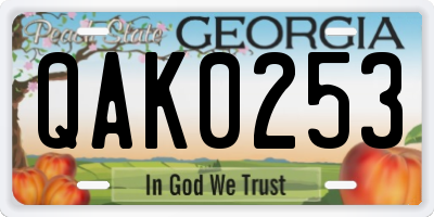GA license plate QAK0253