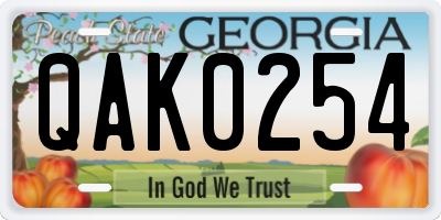 GA license plate QAK0254