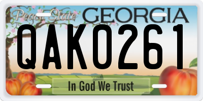 GA license plate QAK0261