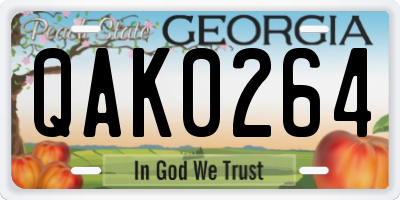 GA license plate QAK0264