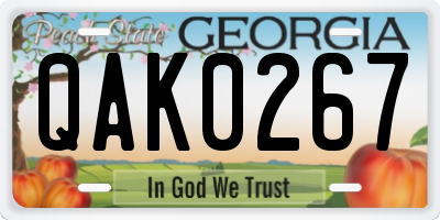 GA license plate QAK0267