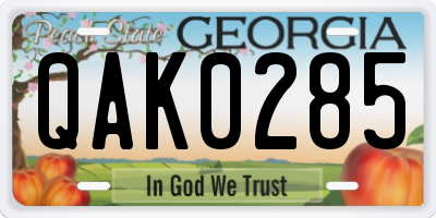 GA license plate QAK0285