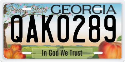GA license plate QAK0289