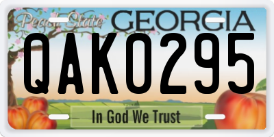 GA license plate QAK0295