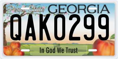 GA license plate QAK0299