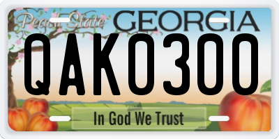 GA license plate QAK0300