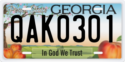 GA license plate QAK0301