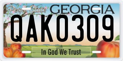 GA license plate QAK0309