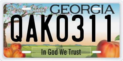 GA license plate QAK0311
