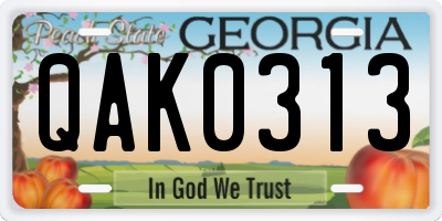 GA license plate QAK0313